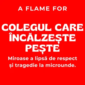 Colegul Care Încălzește Pește