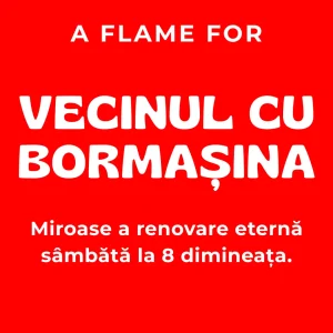 Vecinul Cu Bormașina