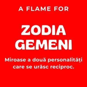 Zodia Gemeni