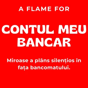 Contul Meu Bancar
