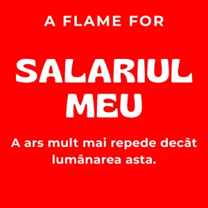 Salariul Meu