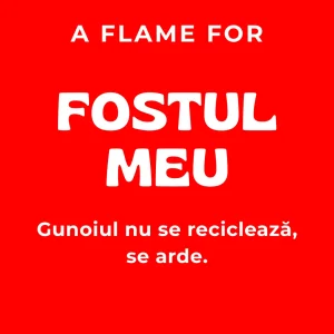 Fostul Meu