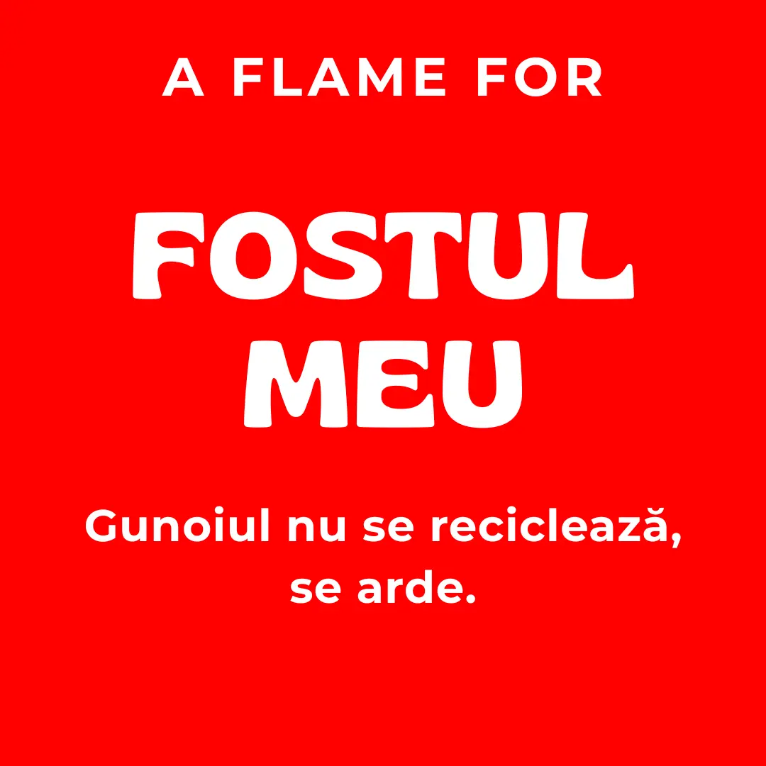 Fostul Meu