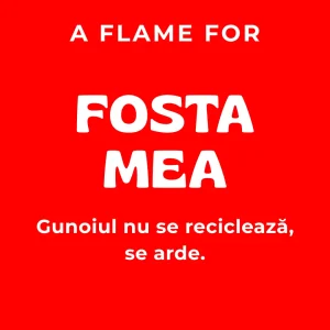 Fosta Mea