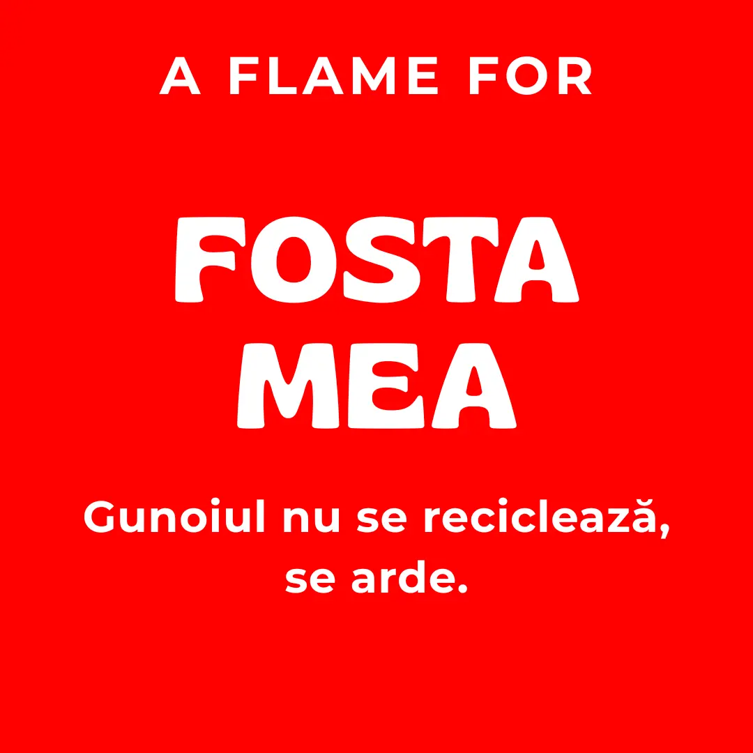 Fosta Mea